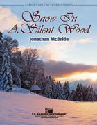 Snow In A Silent Wood 