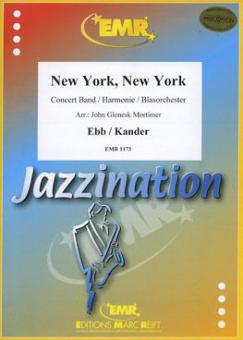 New York, New York Standard