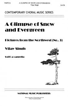 A Glimpse Of Snow And Evergreen 