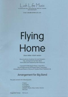 Flying Home 