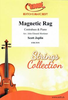 Magnetic Rag Standard