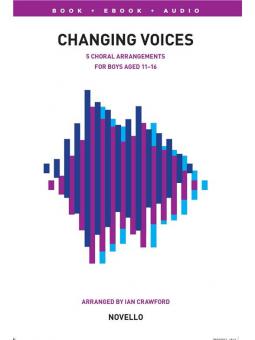 Changing Voices: Songs For Boys 