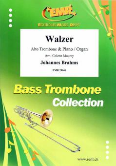 Walzer Standard