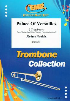 Palace Of Versailles Standard