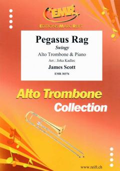 Pegasus Rag Standard