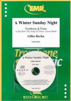 A Winter Sunday Night Download