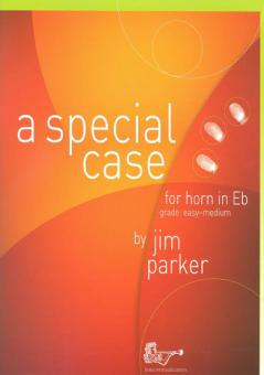 A Special Case for Eb Horn 