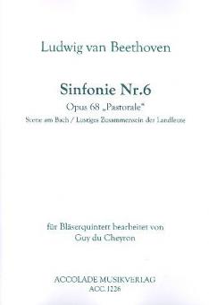 Sinfonie Nr.6 op. 68 (Auszüge) 