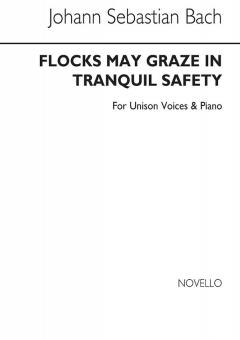 Flocks May Graze In Tranquil Safety 