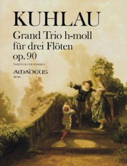 Grand trio in b minor op. 90 