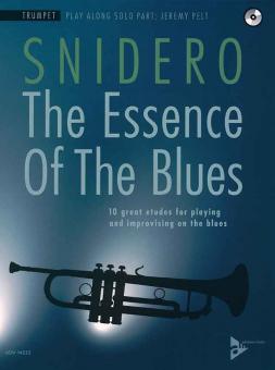 The Essence of the Blues Standard