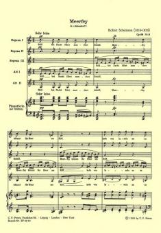 Meerfey op. 69/5 