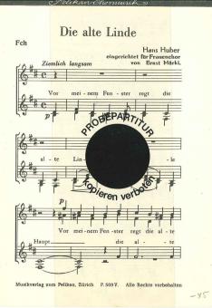 Alte Linde 