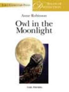 Owl in The Moonlight 