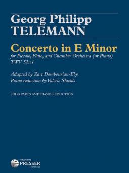 Concerto in E Minor 
