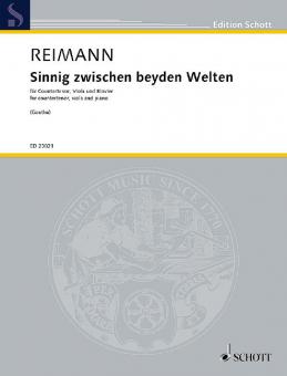Sinnig zwischen beyden Welten Standard