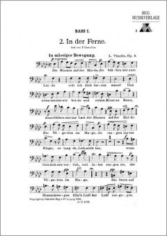 In der Ferne 