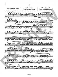 Das ”Non plus ultra“ des Flötisten op. 34 von Leonardo de Lorenzo 