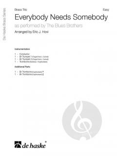 Everybody Needs Somebody von The Blues Brothers 