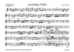 A grüabige Polka von Karl Edelmann 