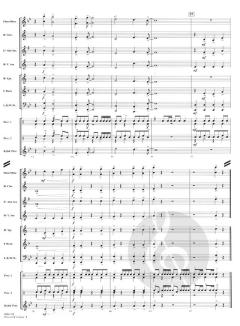 Drums Of Corona von Michael Sweeney 