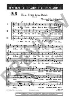 Kein Feuer, keine Kohle von Walter Rein (Download) 