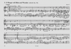Sämtliche Choralvorspiele von Moritz Brosig 