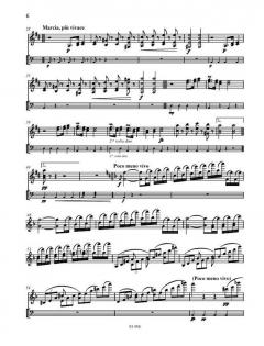 Kadenzen D-Dur von Ludwig van Beethoven (Download) 