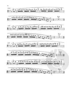 24 Capricen von Pierre Rode (Download) 