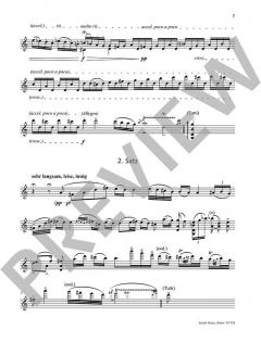 Kadenzen KV 216 von Jörg Widmann (Download) 