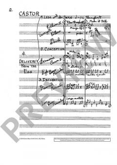 Castor & Pollux von Harry Partch (Download) 