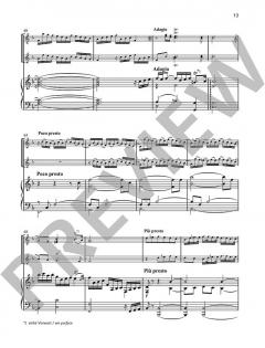 Partita VII von Heinrich Ignaz Franz Biber (Download) 