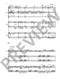 Leçons de danse von Hans Werner Henze (Download) 