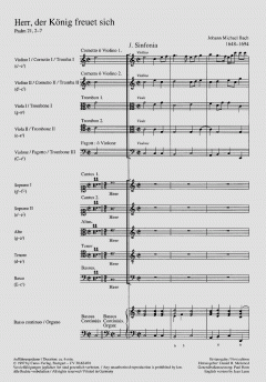 Herr, der König freuet sich (Johann Michael Bach) 
