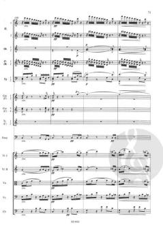 Sinfonie Nr. 8 G-Dur op. 88 B 163 von Antonín Dvořák 