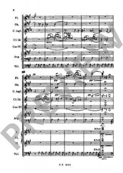 Polowetzer Tänze von Alexander Borodin 