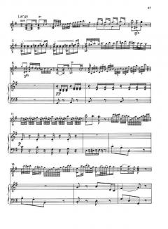 Konzert e-Moll op. 140 von Ferdinando Carulli (Download) 
