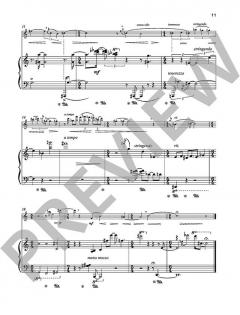 12 Lieder ohne Worte von Karel van Steenhoven (Download) 