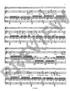 Der Hirt auf dem Felsen op. 129 von Franz Schubert 
