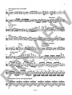 Kamfu von Elisabeth Naske (Download) 
