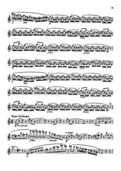 Das 'Non plus ultra' des Flötisten op. 34 von Leonardo de Lorenzo 