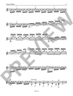 Guitar Works Vol. 6: Concert Works von Johann Kaspar Mertz 