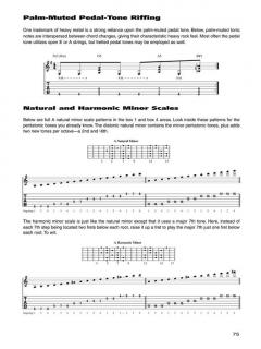 Total Rock Guitar von Troy Stetina 