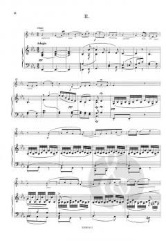 Konzert Nr. 1 g-moll op. 26 von Max Bruch 