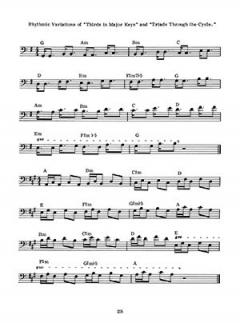 The Literate Bassist von Fred Paterno 