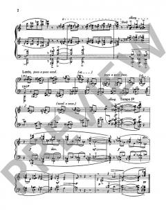 12 Studies op. 38 von Peter Racine Fricker (Download) 
