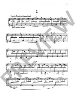12 Studies op. 38 von Peter Racine Fricker (Download) 