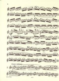 24 Studies von Julius Heinrich Luft 