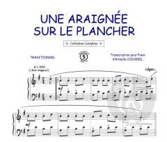 Une araignée sur le plancher 