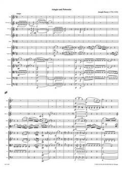 Sinfonia concertante von Joseph Panny 